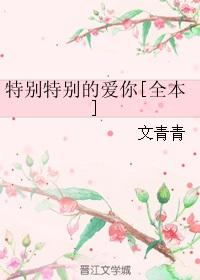 特别特别的爱你是什么歌曲里面歌词