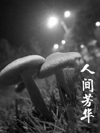 人间芳华 研讨会