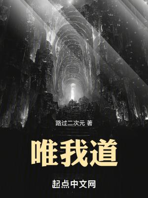 唯我道完整版